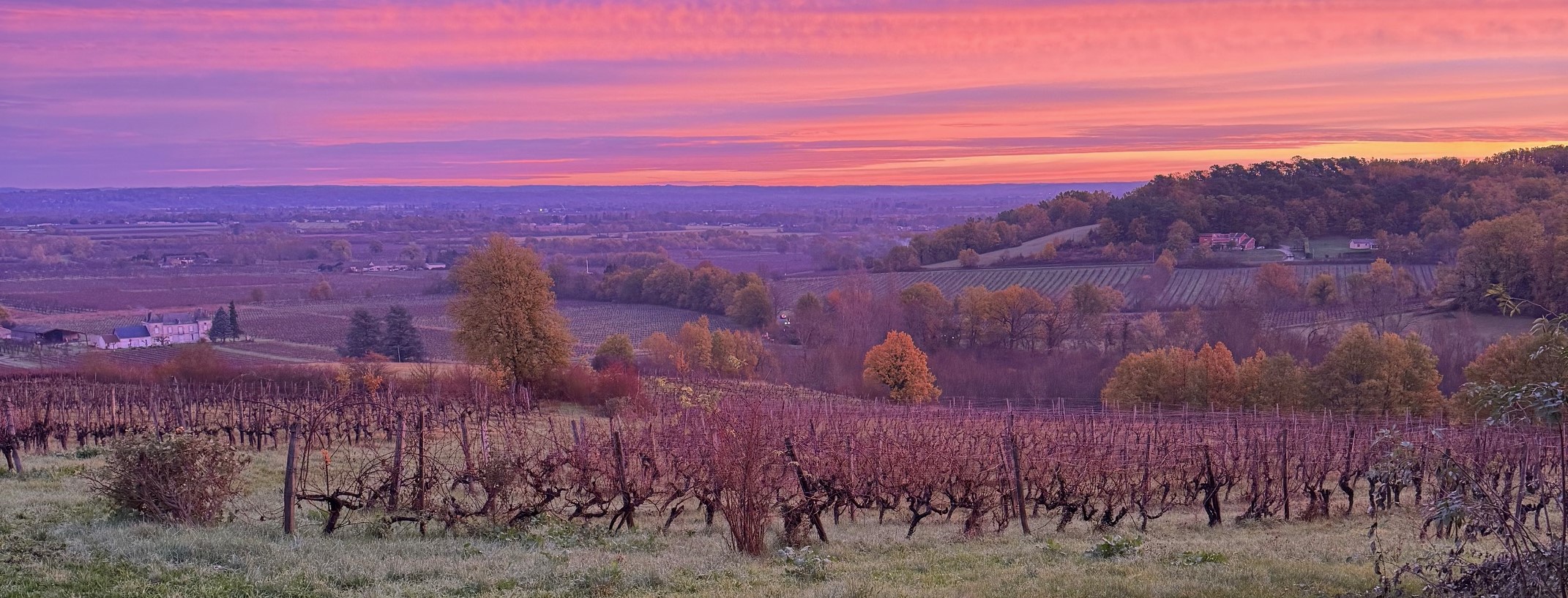 Chateau Feely Vineyard in France in Winter